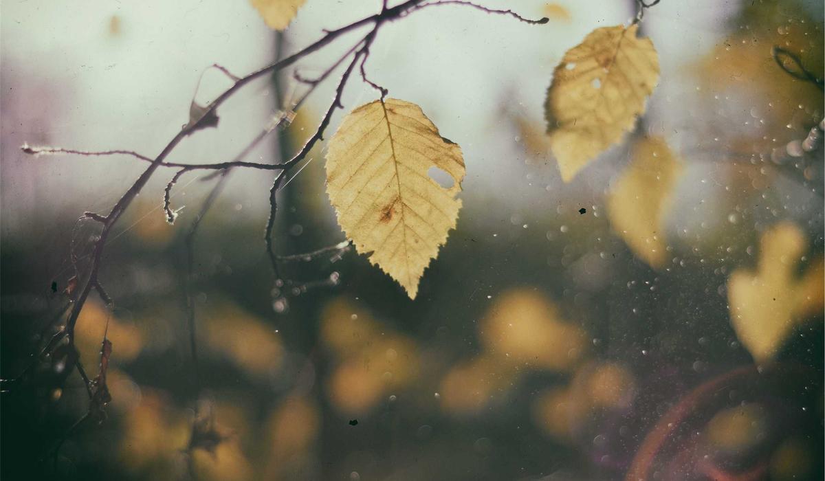 The careful reader guide to finding better examples